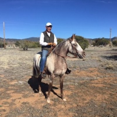 Wes Studi