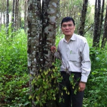 Duc Bui