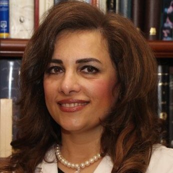 Farzin Zabihi