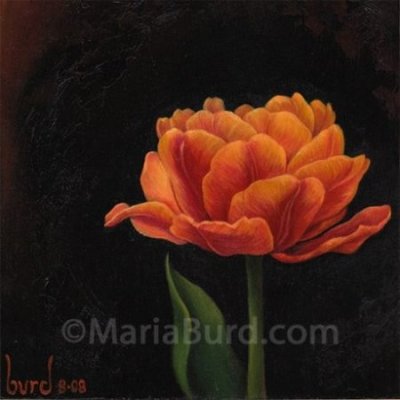 Maria Burd