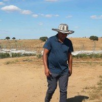 Darwin Pavon