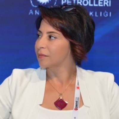 Hulya Ozgur