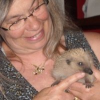 Jacquie Bridonneau