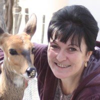 Michele Merifield