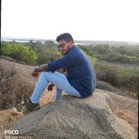 Hari Vijay