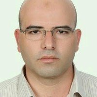 Hisham Kamel